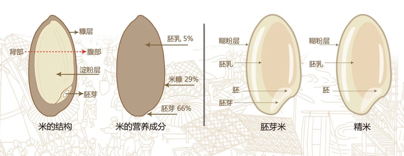文章插图