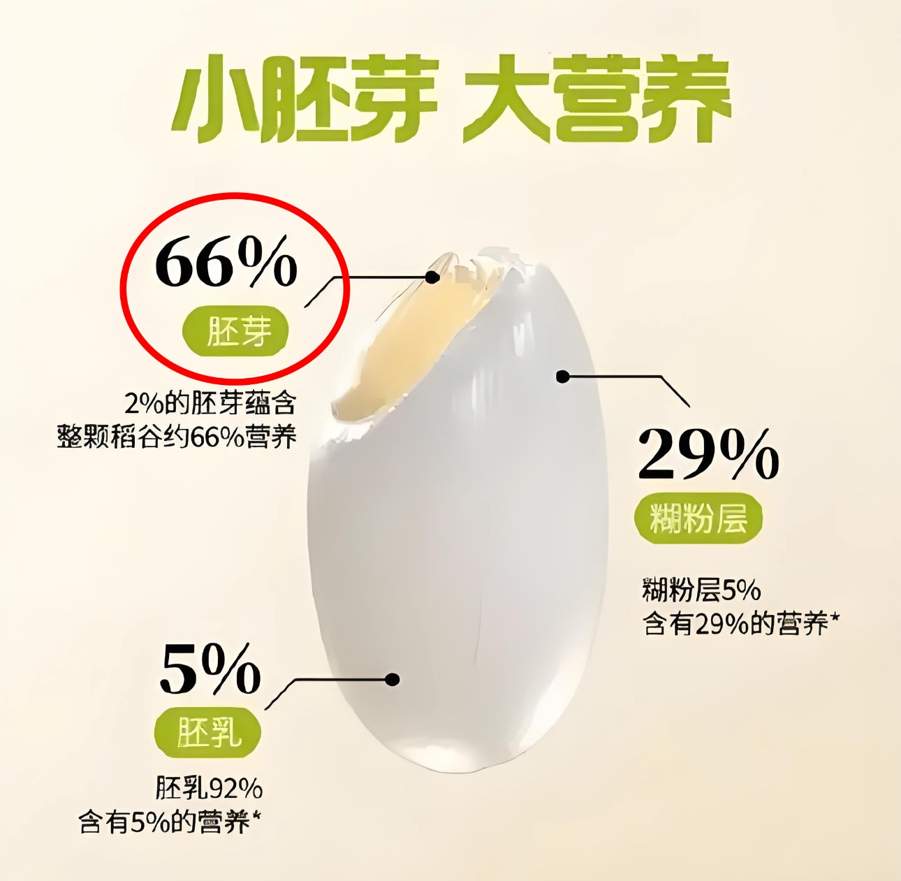 文章插图