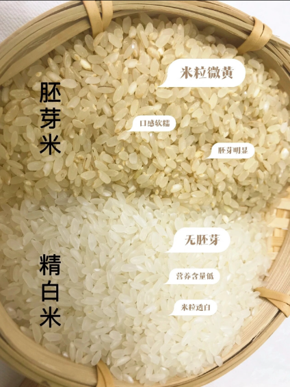 文章插图