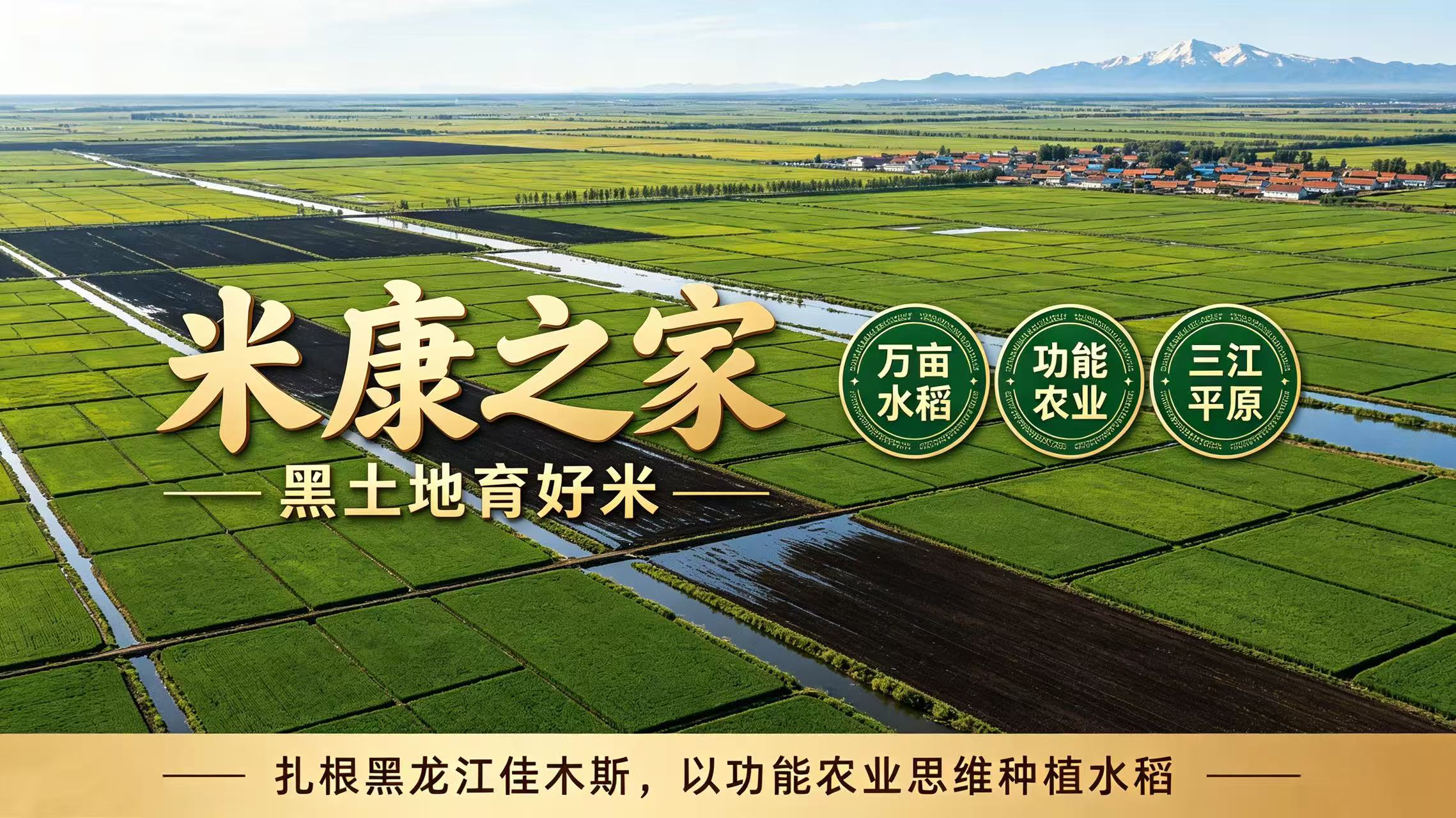 文章插图