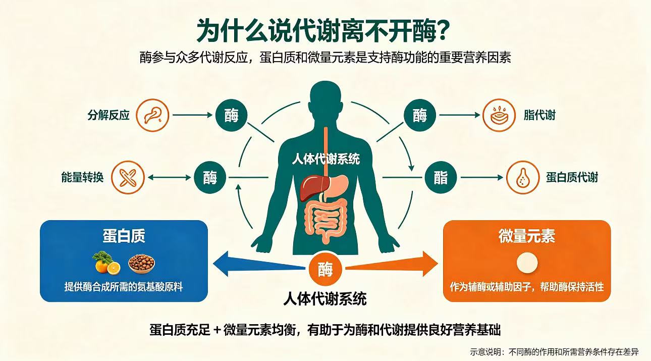 文章插图